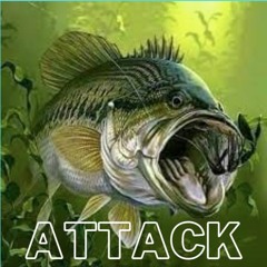 Bass Attack