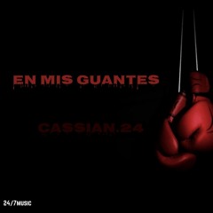 En Mis Guantes
