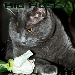 Big Hossa