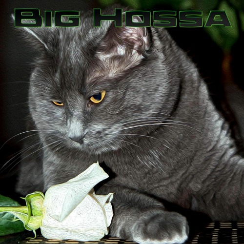 Big Hossa
