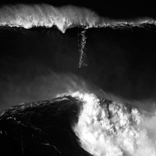 Wave