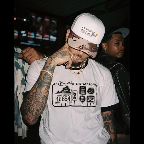 Chris Brown - Main (AI Original Song)