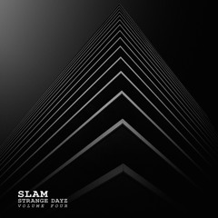 Strange Dayz - Volume Four