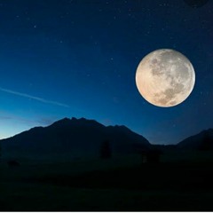 الإنســـان وقصــار الســور (عبد الفتاح الشعشاعى)، أجمل ما ستسمعه فى حياتك!