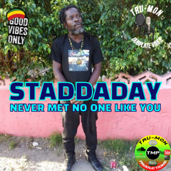 STADDADAY - Never Met No One Like You / TruMon Dubplate