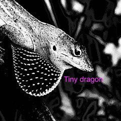 Tiny Dragon