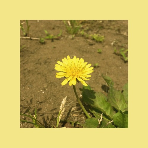 [Cover] Dandelion - OoHyo