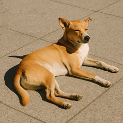 Marconiero - Obeć'o si mito