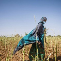 The Status Of Women In Agrifood Systems
