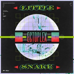 LITTLE SNAKE - ECTOPLEX - DEMO TRACK