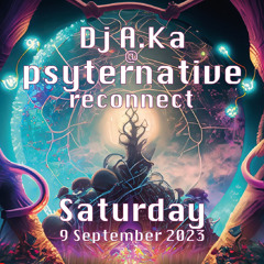 dj A.Ka @ Psyternative Reconnect 2023 Satuday