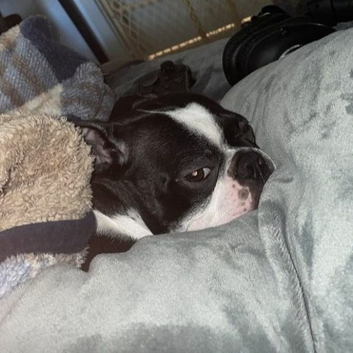 foo fighters - my hero (skip a minute)