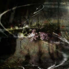 Shababs im VIP - Pasha x Ceren LEAK [Edited]