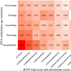 Faster Biological Aging Linked to Cognitive Decline in Older Adults