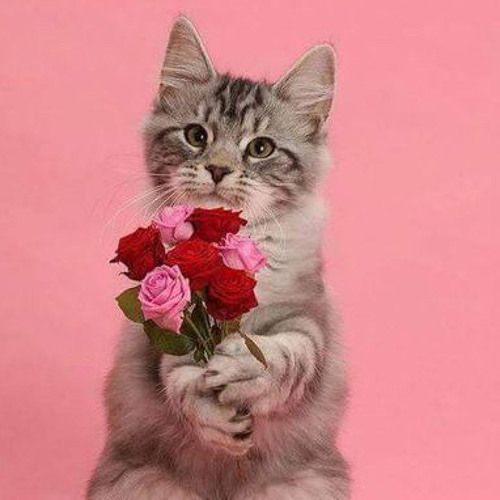 y2meta.com - CÔ PHÒNG - HỒ QUANG HIẾU X HUỲNH VĂN | OFFICIAL MUSIC VIDEO