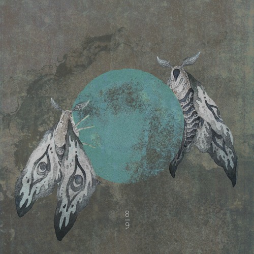 Spillin' Honey 8/9 (feat Phauna)