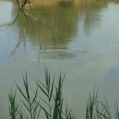 Alone (ORIGINAL - Text from E. Allan Poe)