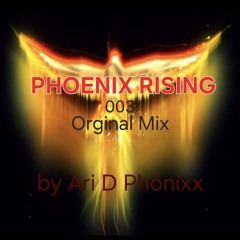 Ari D Phönixx - Phoenix Rising  Orginal Mix 003