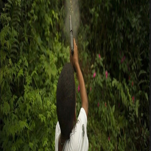 birds(prod.@bluegwaluh)