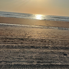 sunshine (1)