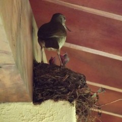 20.02.2022 - Cap. X - Bem Aventurados os Misericordiosos - Perdoai Para que Deus vos Perdoe (4)