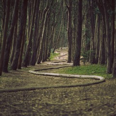 A Far Away Place