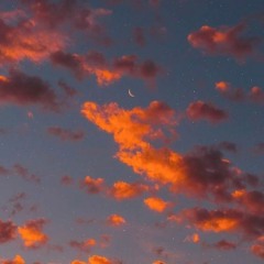 Fly me to the moon ( cover by the Macarons Project )