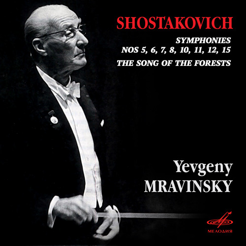 Symphony No. 8 in C Minor, Op. 65: IV. Largo