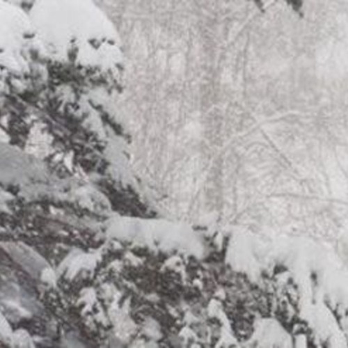 lovebomb prod sl4yyer