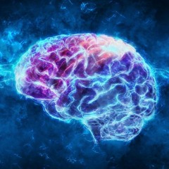 Absurdity of the mind