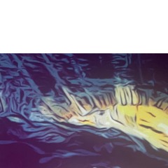 SOM (Prod. PK)