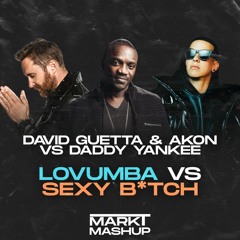 Lovumba vs Sexy Btch (Mark T Mashup) - Daddy Yankee vs David Guetta