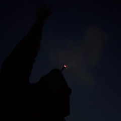 SPACE FLY