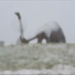 Sin tener que reclamar