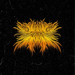 P⊕H3Λ - SEVERELY DEHYDRATED ORGANISM