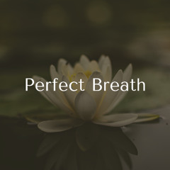 Perfect Breath