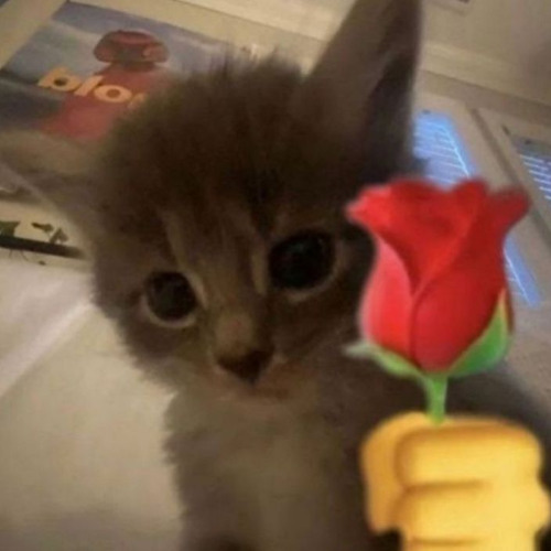 ㅇ ㅣ쁘다ㄴ ㅣㄲ ㅏ