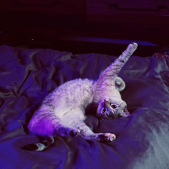 get moving - LPTN minimix