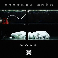 Ottoman Grüw - An Unexpected Moment Of Terror (Feat. Incendie) [X-IMG]