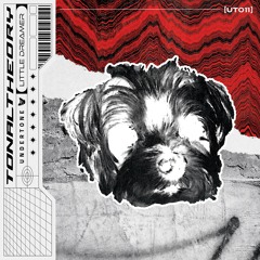 PREMIERE: TonalTheory - Little Dreamer [UT011]