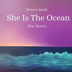 PREMIERE: Bassem Daouk - She Is The Ocean (Sloe Remix) [SE Records]