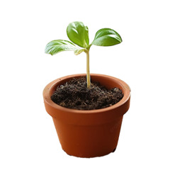 250530_TMCmix@MODECi