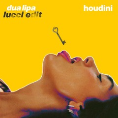 Dua Lipa Vs. Wilson, ManyFew & Kelli - Leigh - Houdini (Lucci Club Edit)