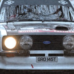 Rally Cars - Ready for Mud