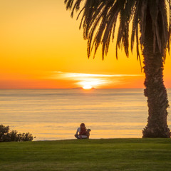 Marigold Moon By Mike-Hope AKA Hermosaman