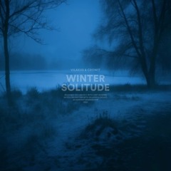 Vilaxxs, crowit. - winter solitude