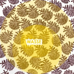 RCMX010 Wasse