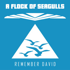 Remember David (Main Version)