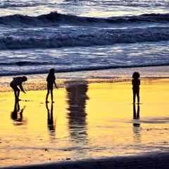 Children play, in Moonlight bay.