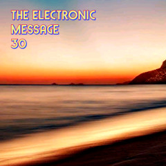 The Electronic Message 30